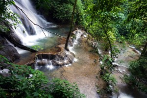 Palenque 9