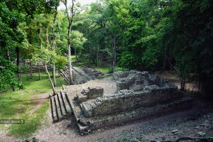 Copan 2