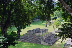 Copan 3