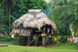 embera13