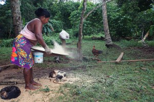 embera5