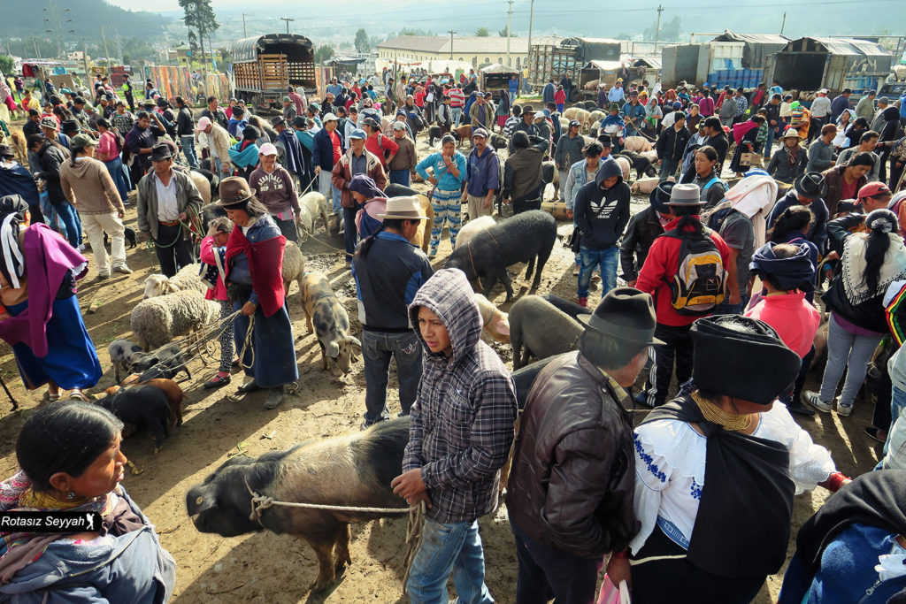 otavalo1